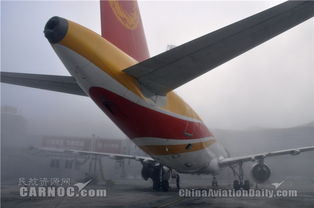 成都機(jī)場(chǎng)大霧籠罩，數(shù)萬旅客滯留，航空信息全面解析